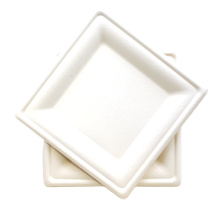 El cuadrado biodegradable disponible del bagazo platea la vajilla natural para el restaurante, fiesta, boda